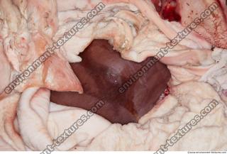 Photo Textures of RAW Pork Meat